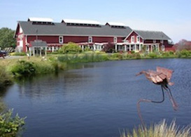 galleryImage